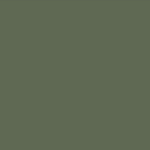 Olive Green (NCS S6020²G50Y)